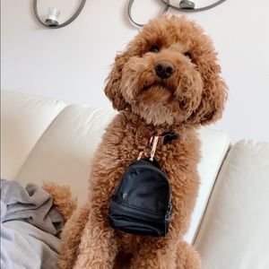 Meet your Posher, Chloe